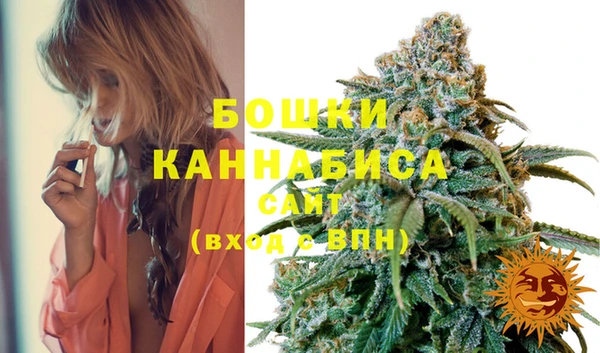 первитин Богородицк