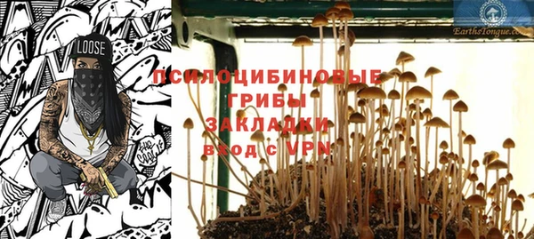 первитин Богородицк