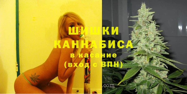 apvp Богданович